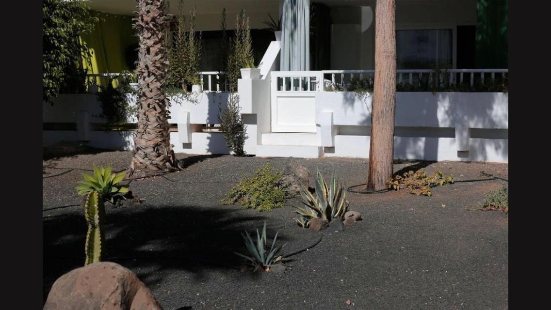 Daruma Apartments Costa Teguise Exteriér fotografie